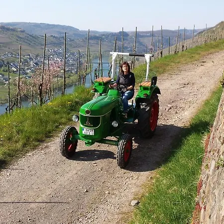 Apartment Ferienweingut Rainer Hirschen