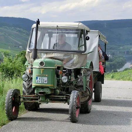 Ferienweingut Rainer Hirschen * Burg (Bernkastel-Wittlich)