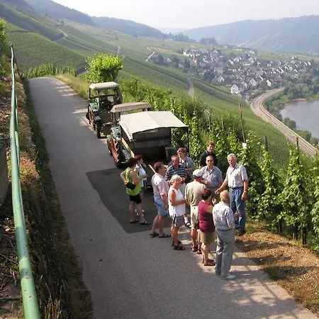 Ferienweingut Rainer Hirschen Apartment *