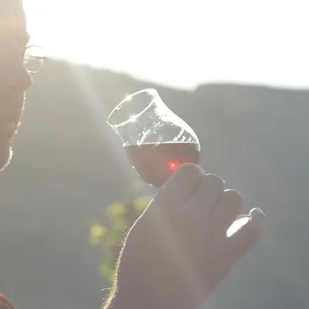 Ferienweingut Rainer Hirschen * Burg (Bernkastel-Wittlich)