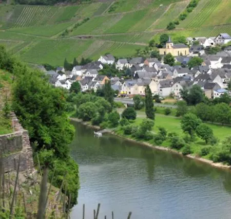 Ferienweingut Rainer Hirschen Apartment