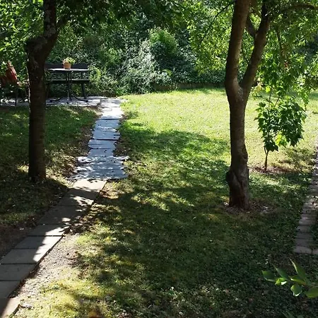 Ferienweingut Rainer Hirschen Apartment Burg (Bernkastel-Wittlich)