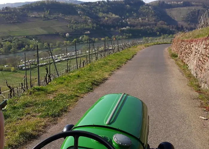 Ferienweingut Rainer Hirschen 아파트 *