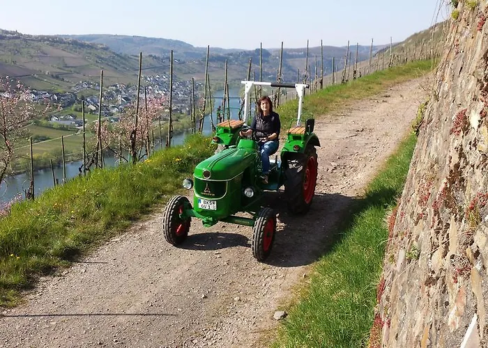 아파트 Ferienweingut Rainer Hirschen