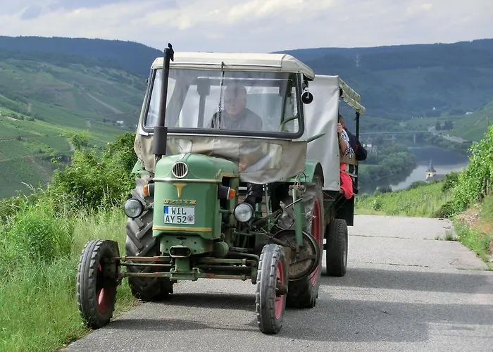 Ferienweingut Rainer Hirschen * Burg (Bernkastel-Wittlich)