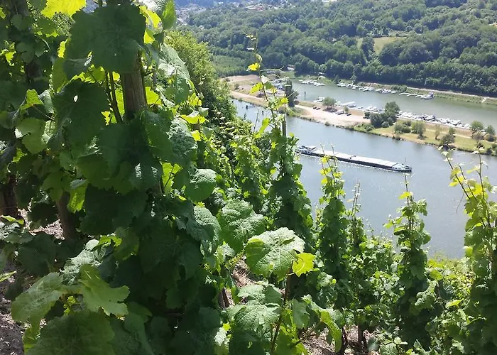 Ferienweingut Rainer Hirschen 아파트 *