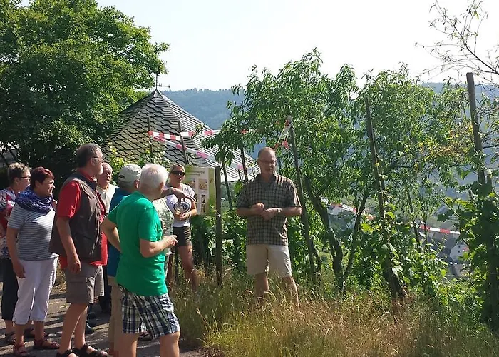 Ferienweingut Rainer Hirschen