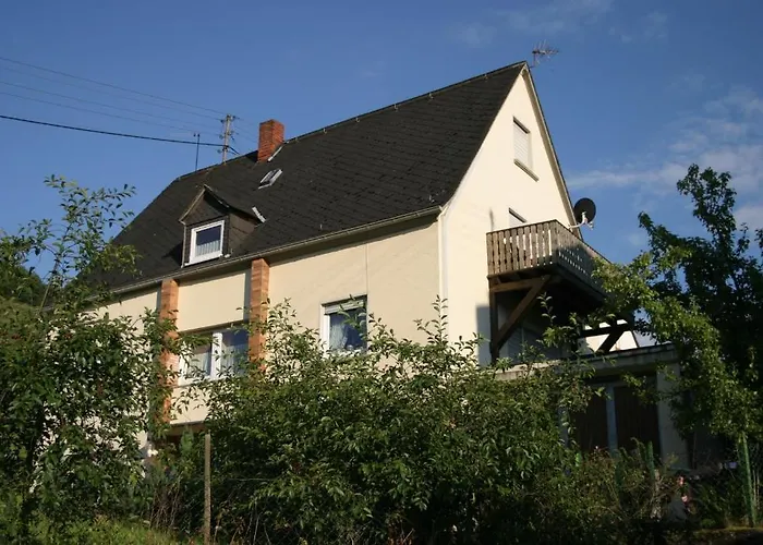 Ferienweingut Rainer Hirschen 아파트