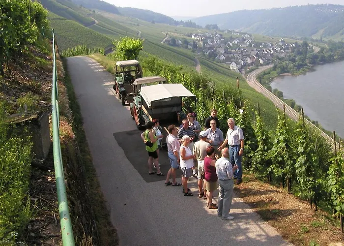 Ferienweingut Rainer Hirschen 아파트 *