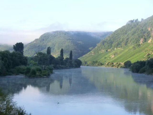 Ferienweingut Rainer Hirschen * Burg (Bernkastel-Wittlich)