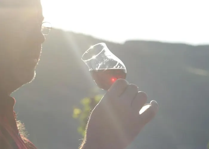 Ferienweingut Rainer Hirschen * Burg (Bernkastel-Wittlich)