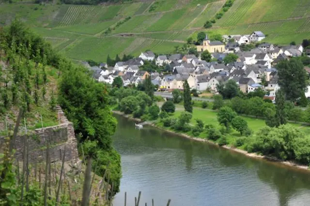 Ferienweingut Rainer Hirschen 아파트